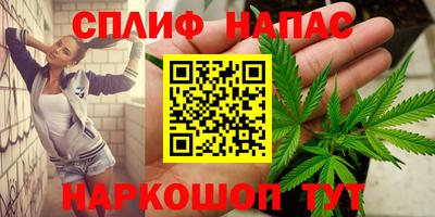 PSILOCYBIN Севастополь